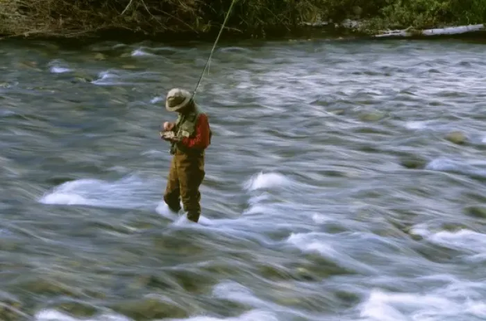 Framed Print : Fly fisherman selects fly to use in Rock Creek near Missoula Montana. (MR)