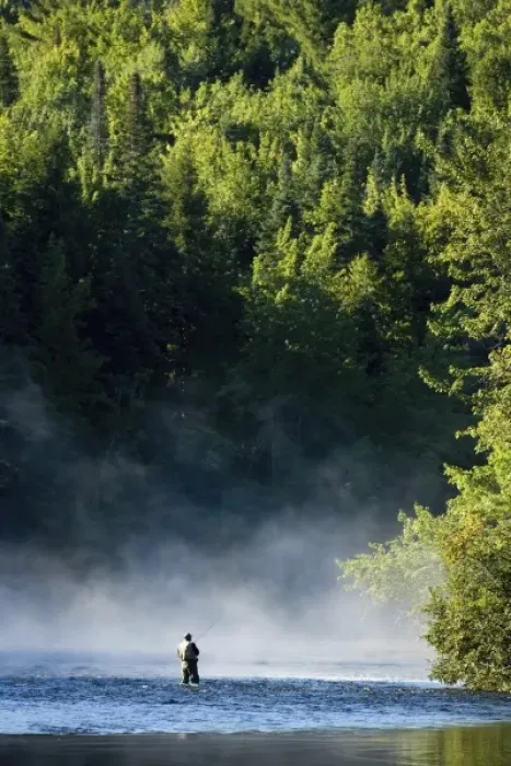 Framed Print : Fly-fishing in the early morning mist on the Androscoggin River just below the dam in Errol, NH