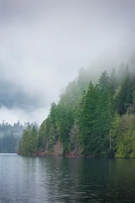 Framed Print : Fog over forest above Lake Crescent, Olympic National Park, Washington State, USA Framed Print : Fog over forest above Lake Crescent, Olympic National Park, Washington State, USA