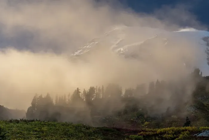 Framed Print : Fog Rolling in near sunset in Mount Rainier National Park, Washington State, USA Framed Print : Fog Rolling in near sunset in Mount Rainier National Park, Washington State, USA