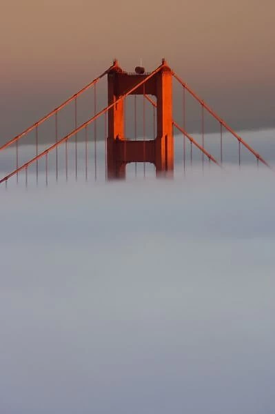 Fog rolls through the San Francisco bay covering the Golden Gate Bridge. Pictured