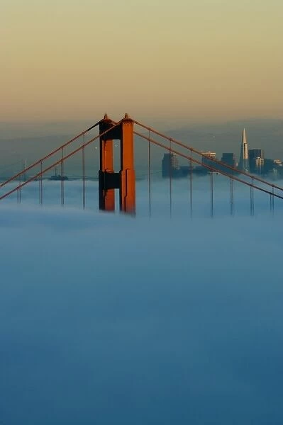 Fog rolls through the San Francisco bay covering the Golden Gate Bridge and city