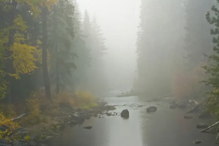 Framed Print : Foggy autumn, Nason Creek, Wenatchee National Forest, Washington State, USA Framed Print : Foggy autumn, Nason Creek, Wenatchee National Forest, Washington State, USA