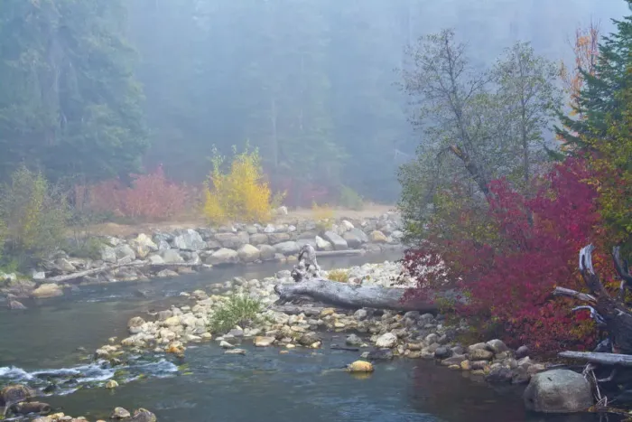 Framed Print : Foggy autumn, Nason Creek, Wenatchee National Forest, Washington State, USA Framed Print : Foggy autumn, Nason Creek, Wenatchee National Forest, Washington State, USA