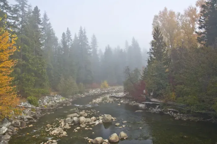 Framed Print : Foggy autumn, Nason Creek, Wenatchee National Forest, Washington State, USA Framed Print : Foggy autumn, Nason Creek, Wenatchee National Forest, Washington State, USA