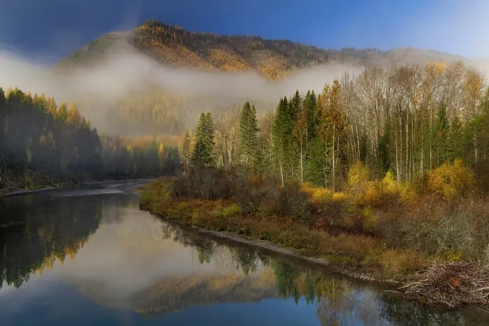Framed Print : Foggy autumn sunrise light on McDonald Creek and Apgar Mountain in Glacier National Park, Montana, USA