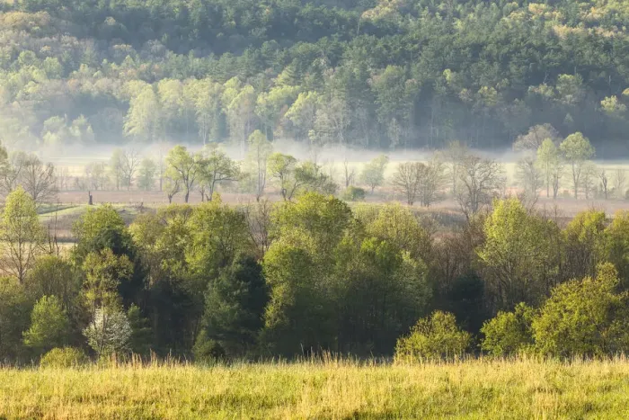 Framed Print : Foggy meadow at sunrise, Cades Cove, Smoky Mountains National Park, Tennessee Framed Print : Foggy meadow at sunrise, Cades Cove, Smoky Mountains National Park, Tennessee