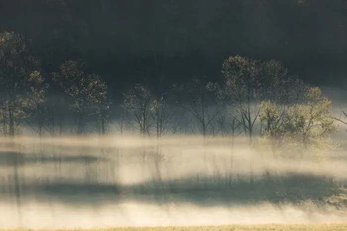 Framed Print : Foggy meadow at sunrise, Cades Cove, Smoky Mountains National Park, Tennessee Framed Print : Foggy meadow at sunrise, Cades Cove, Smoky Mountains National Park, Tennessee