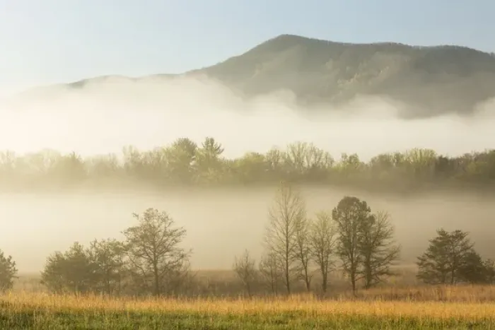 Framed Print : Foggy morning, Cades Cove, Great Smoky Mountains National Park, Tennessee