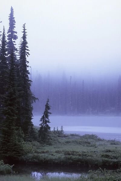 Foggy Morning at Reflection Lake, Washington