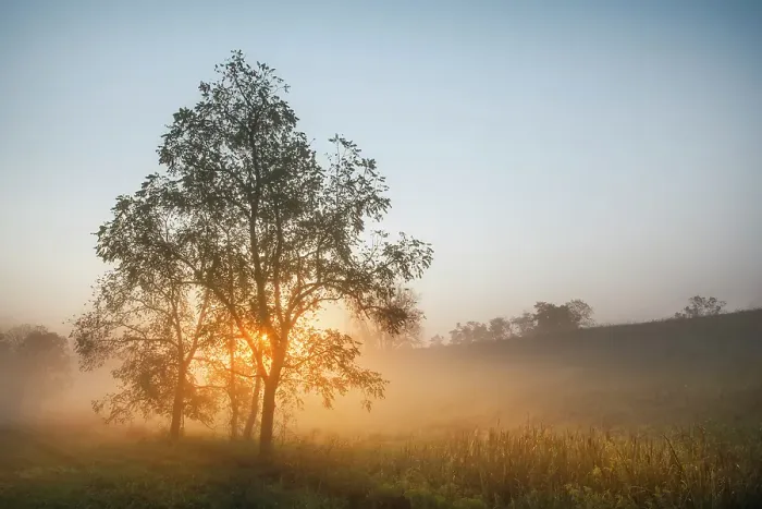 Framed Print : Foggy sunrise, Oldham County, Kentucky Framed Print : Foggy sunrise, Oldham County, Kentucky