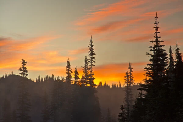 Foggy Sunrise; Reflection Lakes Area; Mount Rainier National Park; Washington; USA