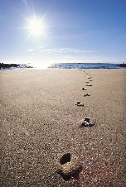 Foot Prints in Sand, Abel Tasman National Park