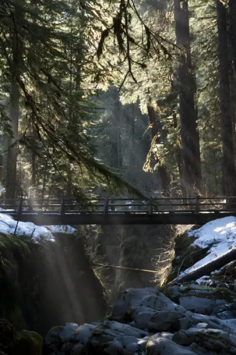 Framed Print : Footbridge near Sol Duc Falls, Olympic National Park, Washington, USA