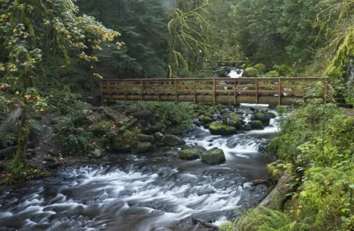 Framed Print : Footbridge across Oneonta creek, Columbia River Gorge, Oregon