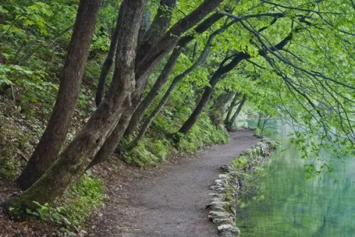 Framed Print : Footpath along Milanovac Jezero (Lake), Plitvice National Park, Croatia
