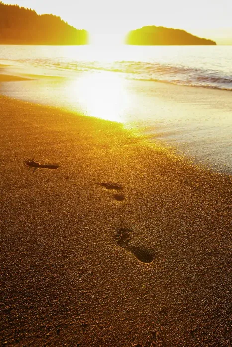 Framed Print : Footprints on beach, Olympic Peninsula, Washington State, USA
