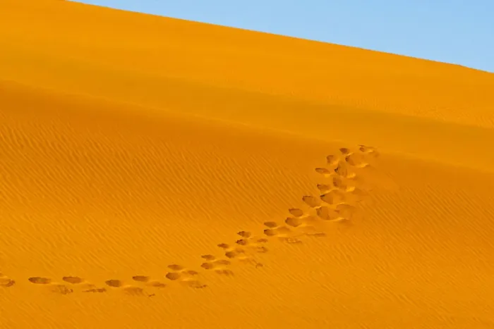 Framed Print : Footprints on red sand dune in southern Namib Desert. Sossusvlei, Namib-Naukluft National Park Framed Print : Footprints on red sand dune in southern Namib Desert. Sossusvlei, Namib-Naukluft National Park