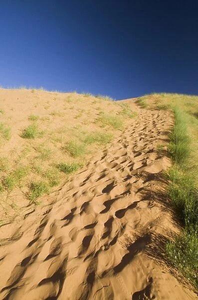 Footsteps Lead Up to the Dunes, Coral Pink Sand Dunes State Park, Utah, US