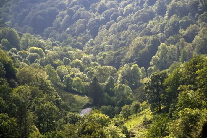 Framed Print : Forested Picos de Europa mountains at Covadonga, Asturias, northwestern Spain Framed Print : Forested Picos de Europa mountains at Covadonga, Asturias, northwestern Spain