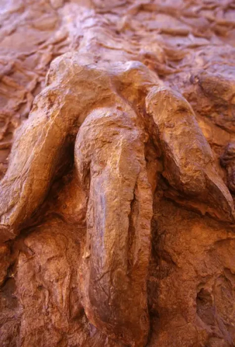 Framed Print : Fossilized Dinosaur Track in St George Utah