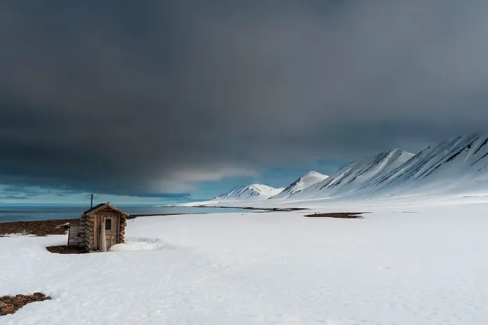 Framed Print : A fox hunting log cabin on the snow covered beach at Mushamna, Spitsbergen Island, Svalbard, Norway
