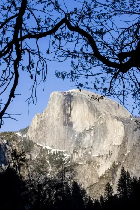 Framed Print : Framed Half Dome seen from the valley floor. Yosemite, California, US Framed Print : Framed Half Dome seen from the valley floor. Yosemite, California, US