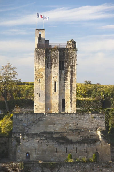 France, Aquitaine Region, Gironde Department, St-Emilion, wine town, Chateau du Roy tower