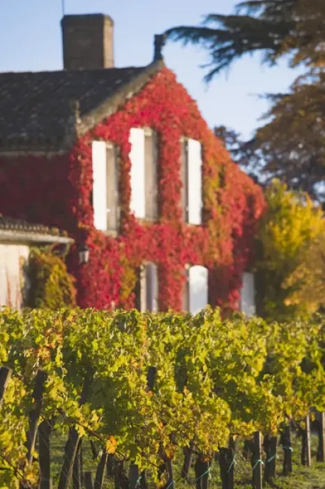 Framed Print : France, Aquitaine Region, Gironde Department, St-Emilion, wine town, UNESCO-listed Framed Print : France, Aquitaine Region, Gironde Department, St-Emilion, wine town, UNESCO-listed