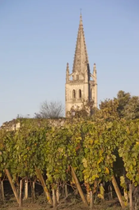 Framed Print : France, Aquitaine Region, Gironde Department, St-Emilion, wine town, vineyard view Framed Print : France, Aquitaine Region, Gironde Department, St-Emilion, wine town, vineyard view