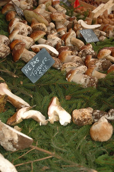 03. France, Arles, Provence, mushrooms at outdoor market