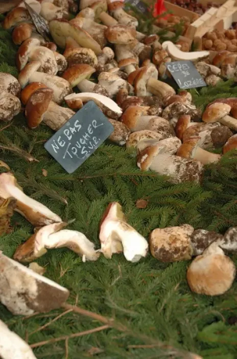 Framed Print : 03. France, Arles, Provence, mushrooms at outdoor market