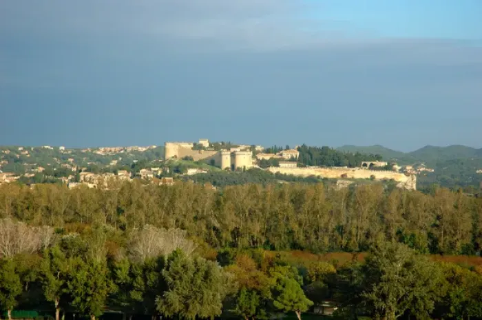 Framed Print : 03. France, Avignon, Provence, fortress across the Rhone River from Avignon Framed Print : 03. France, Avignon, Provence, fortress across the Rhone River from Avignon