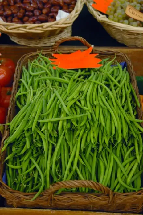 Framed Print : 03. France, Avignon, Provence, fresh produce at indoor market Framed Print : 03. France, Avignon, Provence, fresh produce at indoor market
