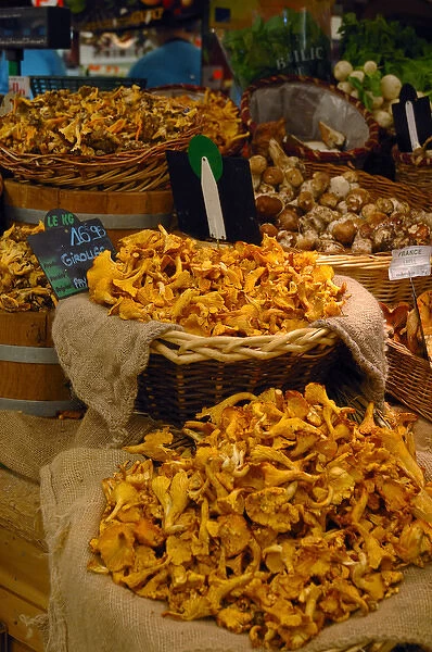 03. France, Avignon, Provence, mushrooms at indoor market