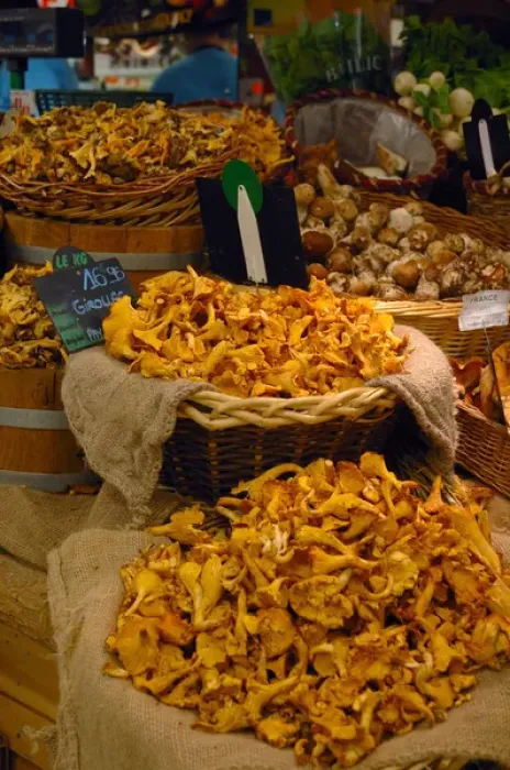 Framed Print : 03. France, Avignon, Provence, mushrooms at indoor market