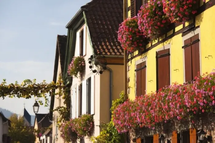 Framed Print : France, Bas-Rhin, Alsace Region, Alsatian Wine Route, Itterswiller, wine town buildings Framed Print : France, Bas-Rhin, Alsace Region, Alsatian Wine Route, Itterswiller, wine town buildings