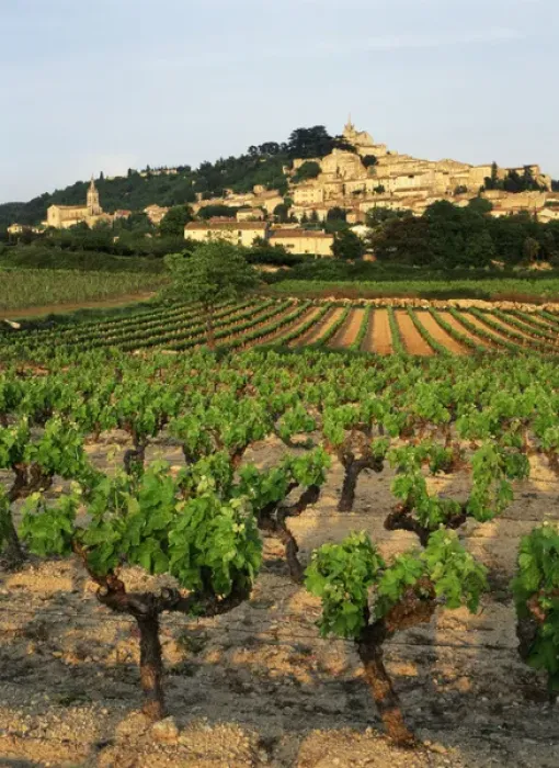 Framed Print : France, Bonnieux, Vaucluse, Luberon, View of Provence vineyard
