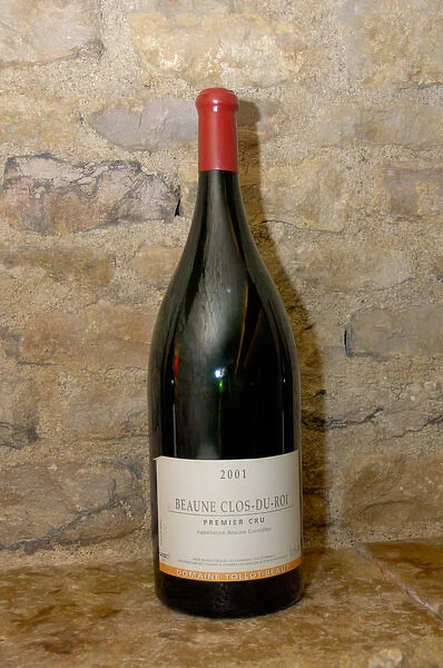 03. France, Burgundy, Beaune, bottle of Premier Cru wine