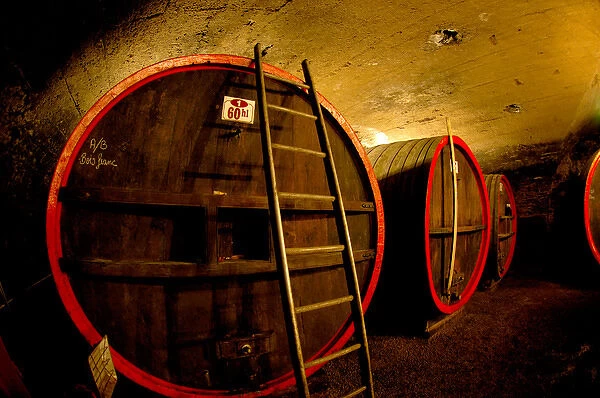 03. France, Burgundy, Denice, Chateau de Cercy, wine barrels in cellar 
