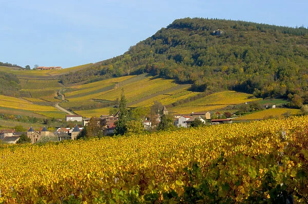 03. France, Burgundy, Maconnais region, view of countryside