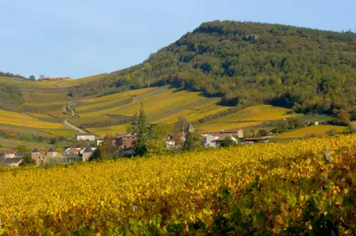 Framed Print : 03. France, Burgundy, Maconnais region, view of countryside Framed Print : 03. France, Burgundy, Maconnais region, view of countryside