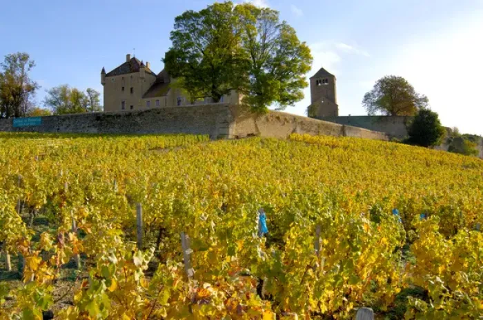 Framed Print : 03. France, Burgundy, Maconnais region, Chateau de Pierreclos, view