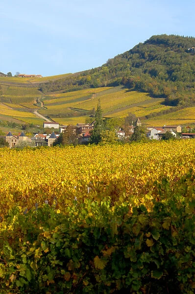 03. France, Burgundy, Maconnais region, view of countryside