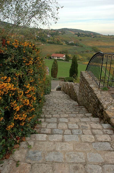 03. France, Burgundy, Oingt, view of countryside from stone steps (Editorial Usage Only)
