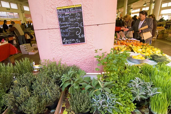 France, Cannes, market of Forville, Selling herbs