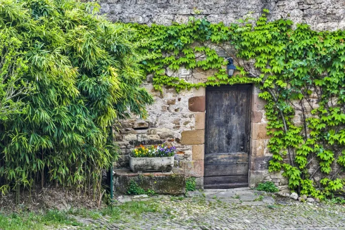 Framed Print : France, Cordes-sur-Ciel. Wooden doorway in vine covered stone wall Framed Print : France, Cordes-sur-Ciel. Wooden doorway in vine covered stone wall