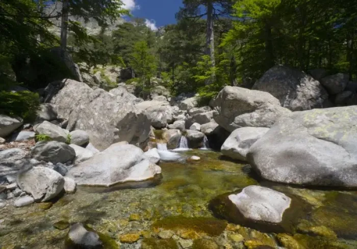 Framed Print : France, Corsica. Clear water and granite below forest of beech and laricio pine trees Framed Print : France, Corsica. Clear water and granite below forest of beech and laricio pine trees