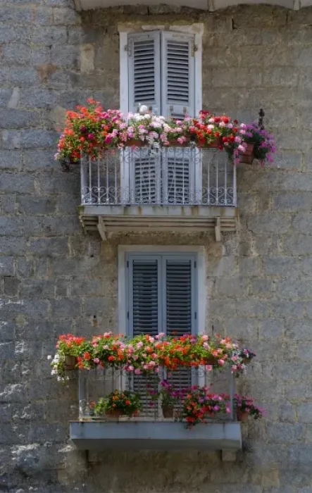 Framed Print : France, Corsica. Flower boxes on window balconies. House in Sartene