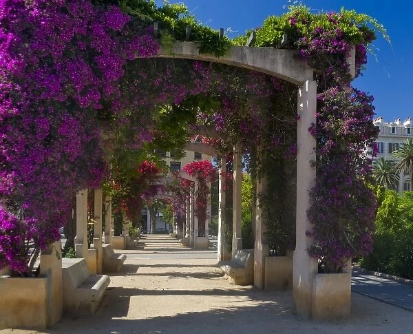 France, Corsica. Flowers in bloom on arbors above walkway at Place De Gaulle (De Gaulle Square)